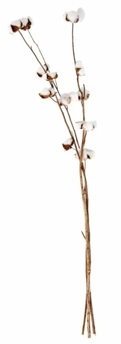 ADDO Vase Crème