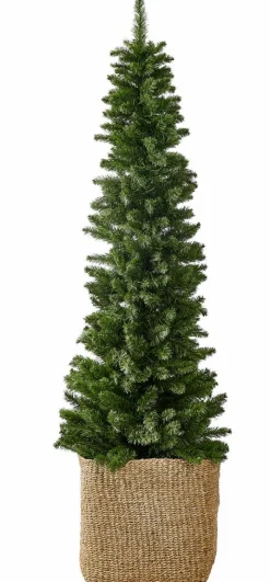 CEDER Branche Décorative Vert