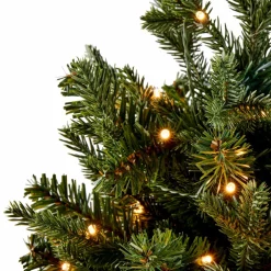 CEDER Branche Décorative Vert