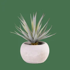 CEMENT Plante Grasse Artificielle Gris