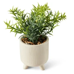 CERA Plante Artificielle Diverses Couleurs