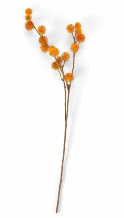 DANDIL Tige Orange