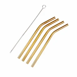 FANCY Pailles à Cocktail Avec Brosse Argent