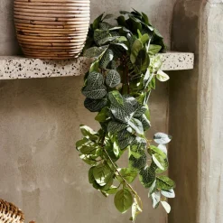 FITTONIA Guirlande Feuilles Vert