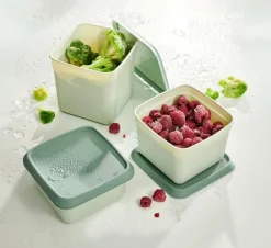 FREEZER Boîtes Congélation Set De 10 Menthe, Vert Foncé