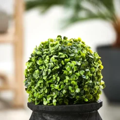 GREEN Boule Buis Vert