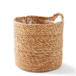 HERBA Herbe En Pot Vert