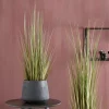 HERBA Herbe En Pot Vert