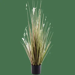 HERBA Herbe En Pot Vert
