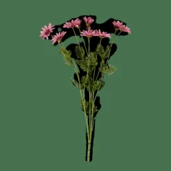 INDI Tige De Fleurs Mauve