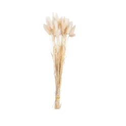 LAGURUS Lagure Ovale Naturel