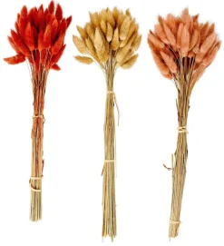 LAGURUS Lagure Ovale Rose