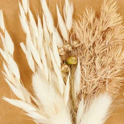MIA Décoration Séchée Beige