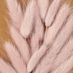 MINA Cloche Avec Déco Séchée Rose