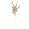 MOTHERWORT Branche D'herbes Doré