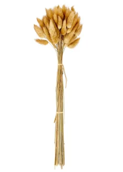 ODON Vase Brun