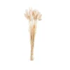 PAMPLONA Vase Crème