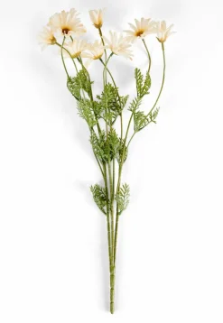 PAMPLONA Vase Crème