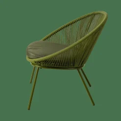 PAPAYO Chaise Lounge Avec Coussin Vert