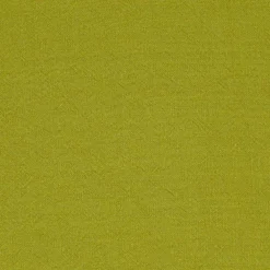 PIERRE Coussin Lime