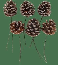PINECONE Pommes De Pin Set De 6 2 Couleurs Blanc, Argent