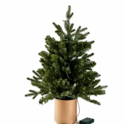 PINUS Branche De Noël Rouge, Vert