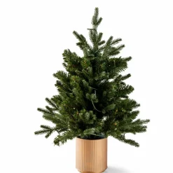 PINUS Branche De Noël Rouge, Vert