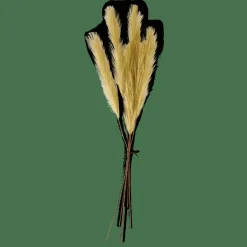 PLUME Plumes Décoratives Vert
