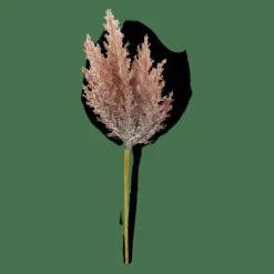 PLUME Tige Panache Orange