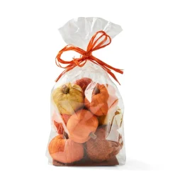 PUMPKIN Terre Cuite
