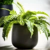 SENSE Pot De Jardin Noir