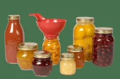 STAGIONI Bocal 1 L Transparent