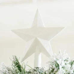 STAR Décoration Séchée