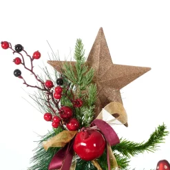 STAR Décoration Séchée