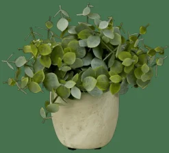 TERRA Pot Avec Plante Blanc, Vert