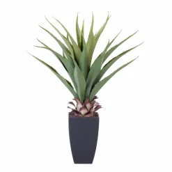 VERA Plante Grasse Sur Tige Vert